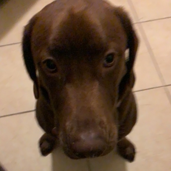 Meet your Posher, Marlenne - Picture 1 of 1